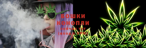 дмт Гусев