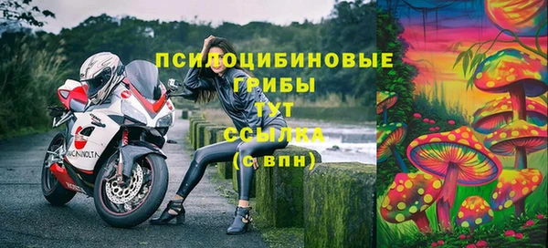 марки nbome Гусиноозёрск