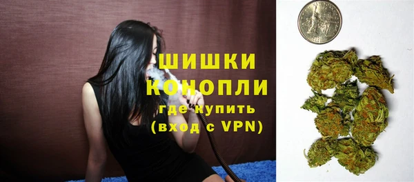 метадон Гусь-Хрустальный
