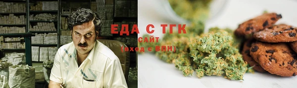 дмт Гусев