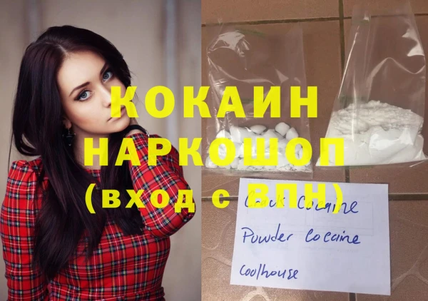 дмт Гусев