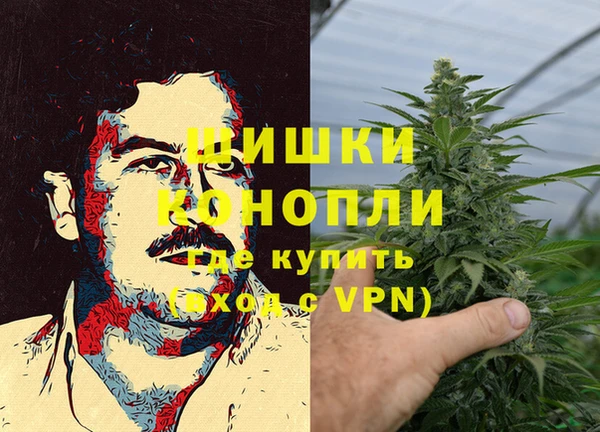 метадон Гусь-Хрустальный