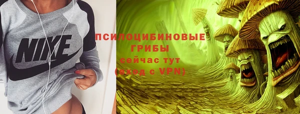дмт Гусев
