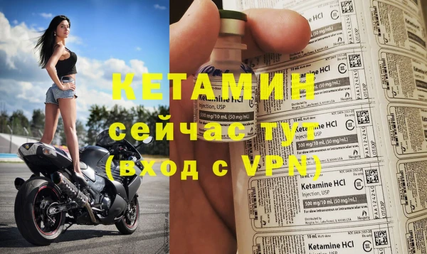 дмт Гусев