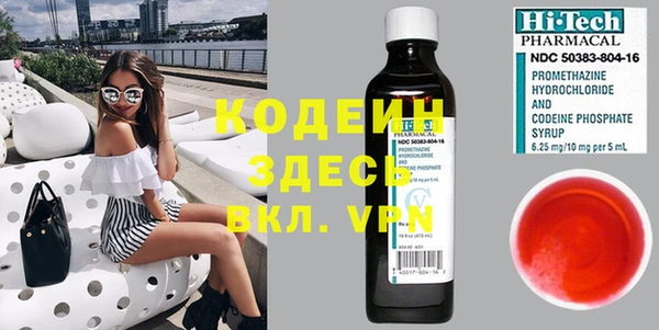 дмт Гусев