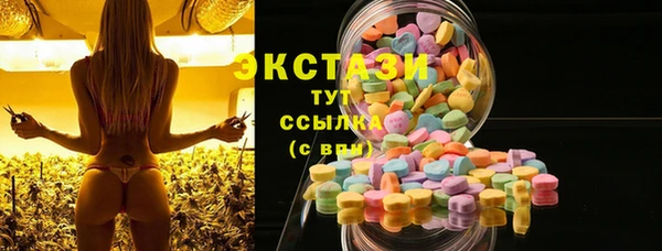 дмт Гусев