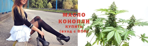 дмт Гусев