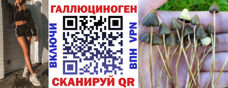 Купить где  Мурино  Псилоцибиновые грибы прущие грибы 